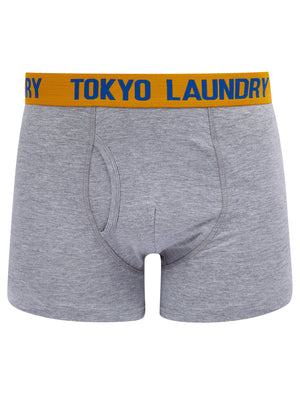 Tonsley (2 Pack) Boxer Shorts Set in Autumn Glory / Princess Blue - Tokyo Laundry