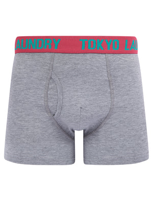 Tonsley (2 Pack) Boxer Shorts Set in Raspberry Rose / Mint - Tokyo Laundry