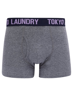 Tonsley (2 Pack) Boxer Shorts Set in Viola Lilac / Sky Captain Navy - Tokyo Laundry