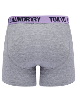 Tonsley (2 Pack) Boxer Shorts Set in Viola Lilac / Sky Captain Navy - Tokyo Laundry