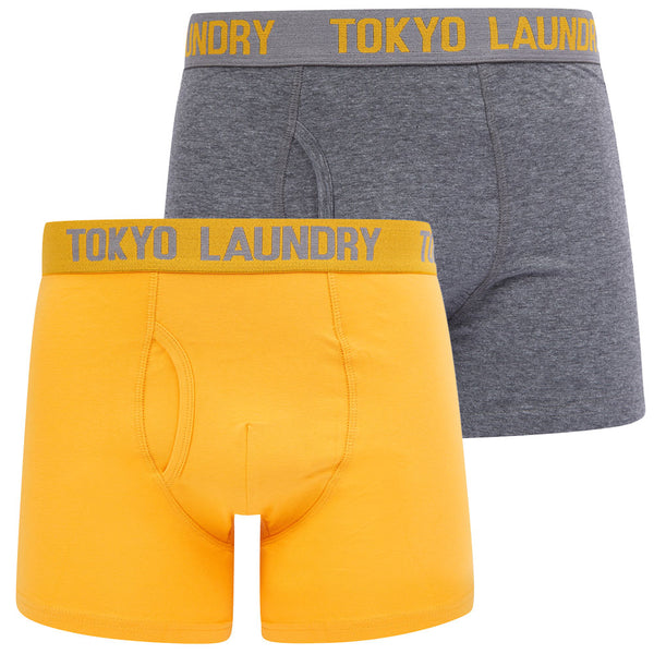 Lumber (2 Pack) Boxer Shorts Set in Artisan's Gold / Mid Grey Marl - Tokyo Laundry