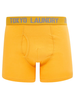 Lumber (2 Pack) Boxer Shorts Set in Artisan's Gold / Mid Grey Marl - Tokyo Laundry