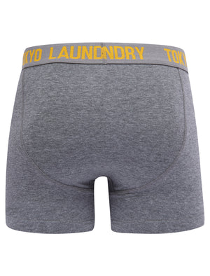 Lumber (2 Pack) Boxer Shorts Set in Artisan's Gold / Mid Grey Marl - Tokyo Laundry