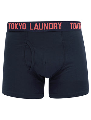 Lumber (2 Pack) Boxer Shorts Set in Dubarry Coral / Sky Captain Navy - Tokyo Laundry