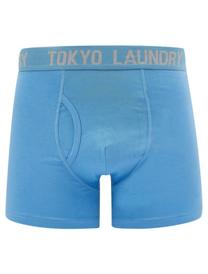 Tower (2 Pack) Boxer Shorts Set in Azure Blue / Light Grey Marl - Tokyo Laundry
