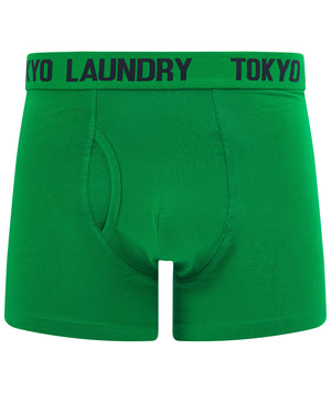 Tower (2 Pack) Boxer Shorts Set in Jolly Green / Sky Captain Navy - Tokyo Laundry