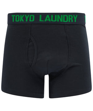 Tower (2 Pack) Boxer Shorts Set in Jolly Green / Sky Captain Navy - Tokyo Laundry
