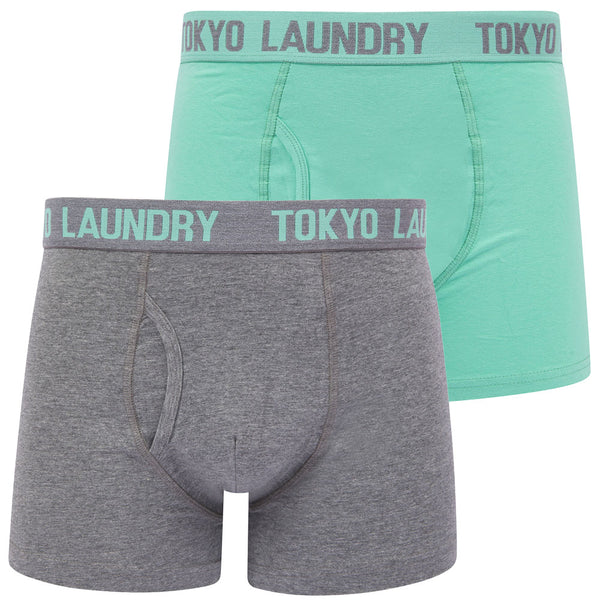 Lumber 2 (2 Pack) Boxer Shorts Set in Dusty Jade Green / Mid Grey Marl - Tokyo Laundry
