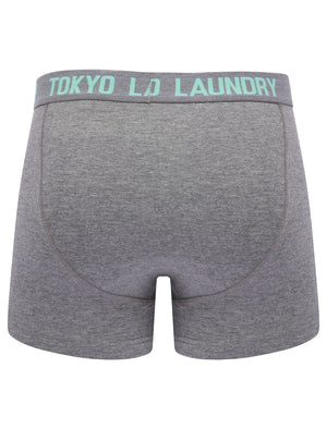 Lumber 2 (2 Pack) Boxer Shorts Set in Dusty Jade Green / Mid Grey Marl - Tokyo Laundry