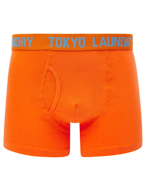 Lumber 2 (2 Pack) Boxer Shorts Set in Niagara Falls Blue / Carrot - Tokyo Laundry