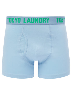 Lumber 2 (2 Pack) Boxer Shorts Set in Blue Bell / Atlantis - Tokyo Laundry