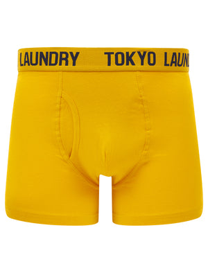 Lumber 2 (2 Pack) Boxer Shorts Set in Golden Rod / Sky Captain Navy - Tokyo Laundry