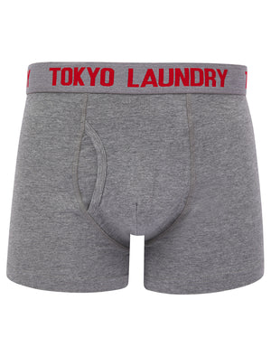 Lumber 2 (2 Pack) Boxer Shorts Set in Mars Red / Mid Grey Marl - Tokyo Laundry