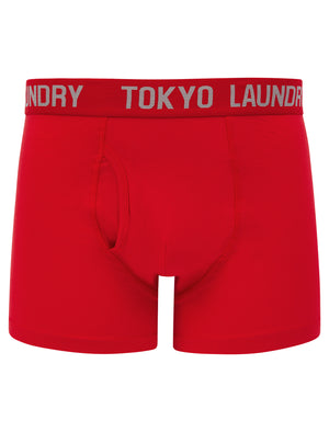 Lumber 2 (2 Pack) Boxer Shorts Set in Mars Red / Mid Grey Marl - Tokyo Laundry