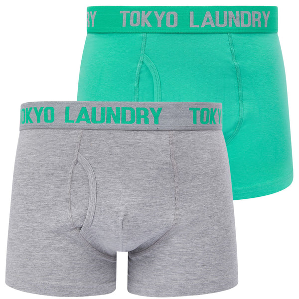 Tower 2 (2 Pack) Boxer Shorts Set in Atlantis Green / Light Grey Marl - Tokyo Laundry
