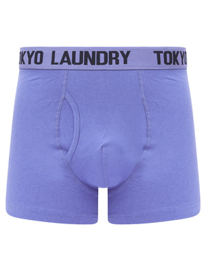 Tower 2 (2 Pack) Boxer Shorts Set in Baja Blue / Sky Captain Navy - Tokyo Laundry