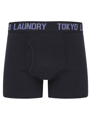 Tower 2 (2 Pack) Boxer Shorts Set in Baja Blue / Sky Captain Navy - Tokyo Laundry