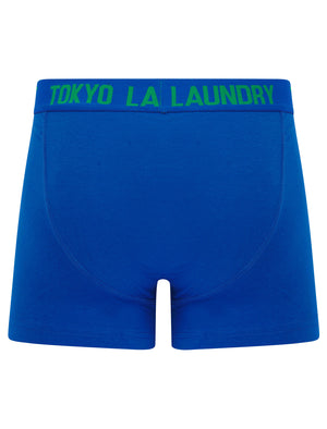 Tower 2 (2 Pack) Boxer Shorts Set in Jolly Green / Jet Blue - Tokyo Laundry