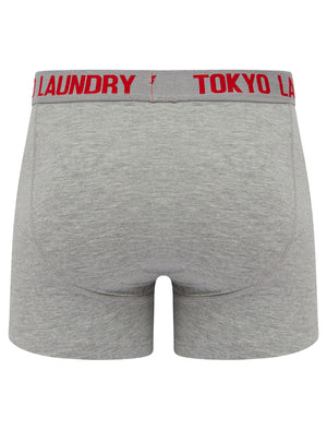 Tower 2 (2 Pack) Boxer Shorts Set in Mars Red / Light Grey Marl - Tokyo Laundry