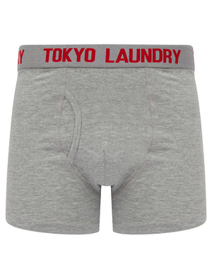 Tower 2 (2 Pack) Boxer Shorts Set in Mars Red / Light Grey Marl - Tokyo Laundry