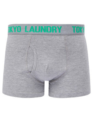 Tower 2 (2 Pack) Boxer Shorts Set in Atlantis Green / Light Grey Marl - Tokyo Laundry