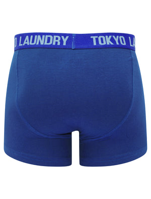 Tower 2 (2 Pack) Boxer Shorts Set in Blue Bell / True Blue - Tokyo Laundry