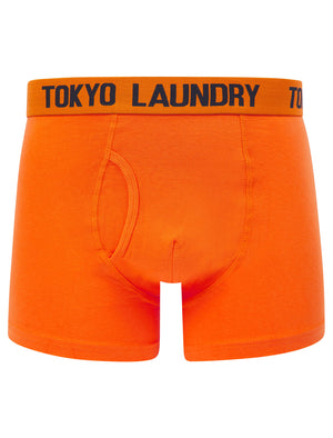 Tower 2 (2 Pack) Boxer Shorts Set in Carrot / Sky Captain Navy - Tokyo Laundry