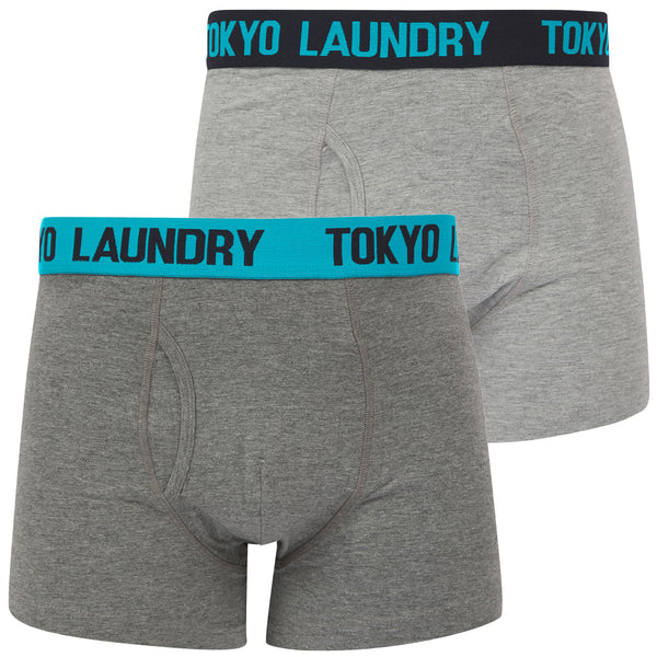 Tonsley 2 (2 Pack) Boxer Shorts Set in Swim Cap / Sky Captain Navy - Tokyo Laundry