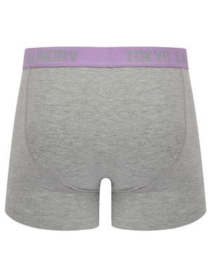 Tonsley 2 (2 Pack) Boxer Shorts Set in Viola Lilac / Light Grey Marl - Tokyo Laundry
