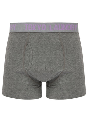 Tonsley 2 (2 Pack) Boxer Shorts Set in Viola Lilac / Light Grey Marl - Tokyo Laundry