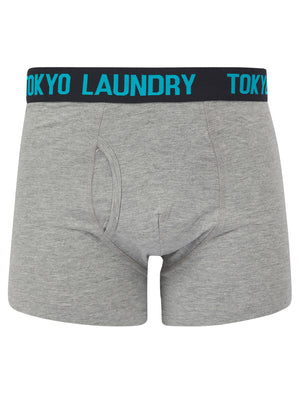 Tonsley 2 (2 Pack) Boxer Shorts Set in Swim Cap / Sky Captain Navy - Tokyo Laundry