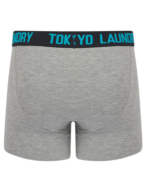 Tonsley 2 (2 Pack) Boxer Shorts Set in Swim Cap / Sky Captain Navy - Tokyo Laundry