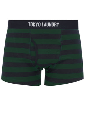 Zavi (5 Pack) Cotton Sports Boxer Shorts Set in Autumn Stripe - Tokyo Laundry