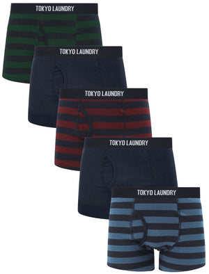Zavi (5 Pack) Cotton Sports Boxer Shorts Set in Autumn Stripe - Tokyo Laundry