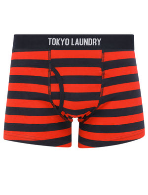 Zavi (5 Pack) Cotton Sports Boxer Shorts Set in Bright Stripe - Tokyo Laundry
