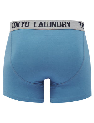 Sky (2 Pack) Boxer Shorts Set in Light Grey Marl / Hibiscus - Tokyo Laundry