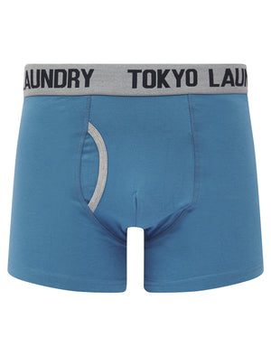 Sky (2 Pack) Boxer Shorts Set in Light Grey Marl / Hibiscus - Tokyo Laundry
