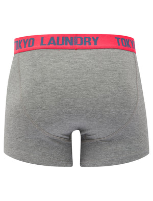 Sky (2 Pack) Boxer Shorts Set in Sky Captain Navy / Raspberry - Tokyo Laundry