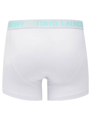 Lammie (2 Pack) Boxer Shorts Set in Blue Tint / White - Tokyo Laundry