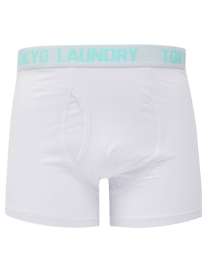Lammie (2 Pack) Boxer Shorts Set in Blue Tint / White - Tokyo Laundry