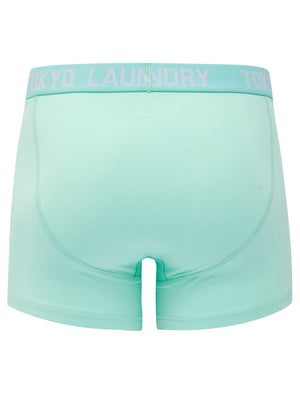 Lammie (2 Pack) Boxer Shorts Set in Blue Tint / White - Tokyo Laundry