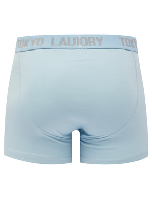 Lammie (2 Pack) Boxer Shorts Set in Light Grey Marl / Kentucky Blue - Tokyo Laundry