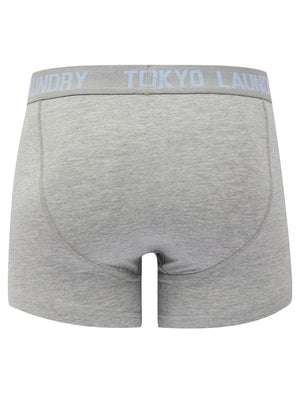 Lammie (2 Pack) Boxer Shorts Set in Light Grey Marl / Kentucky Blue - Tokyo Laundry