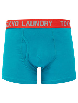 Deas (2 Pack) Boxer Shorts Set in Caribbean Sea Marl / Mid Grey Marl - Tokyo Laundry
