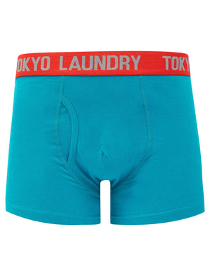 Foss (2 Pack) Boxer Shorts Set in Caribbean Sea Marl / Mid Grey Marl - Tokyo Laundry