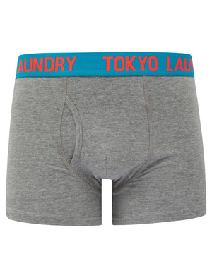 Foss (2 Pack) Boxer Shorts Set in Caribbean Sea Marl / Mid Grey Marl - Tokyo Laundry