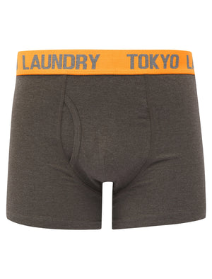 Deas (2 Pack) Boxer Shorts Set in Dark Grey Marl / Mid Grey Marl - Tokyo Laundry