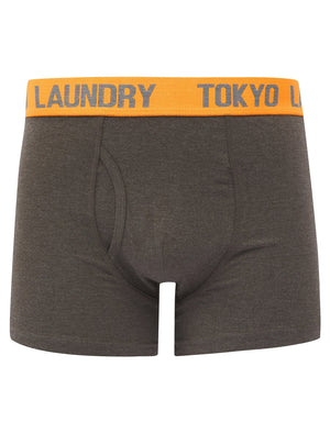 Foss (2 Pack) Boxer Shorts Set in Dark Grey Marl / Mid Grey Marl - Tokyo Laundry
