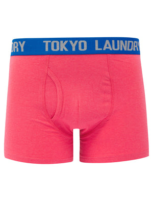 Deas (2 Pack) Boxer Shorts Set in Pink Marl / Light Grey Marl - Tokyo Laundry