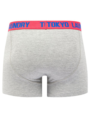 Foss (2 Pack) Boxer Shorts Set in Pink Marl / Light Grey Marl - Tokyo Laundry